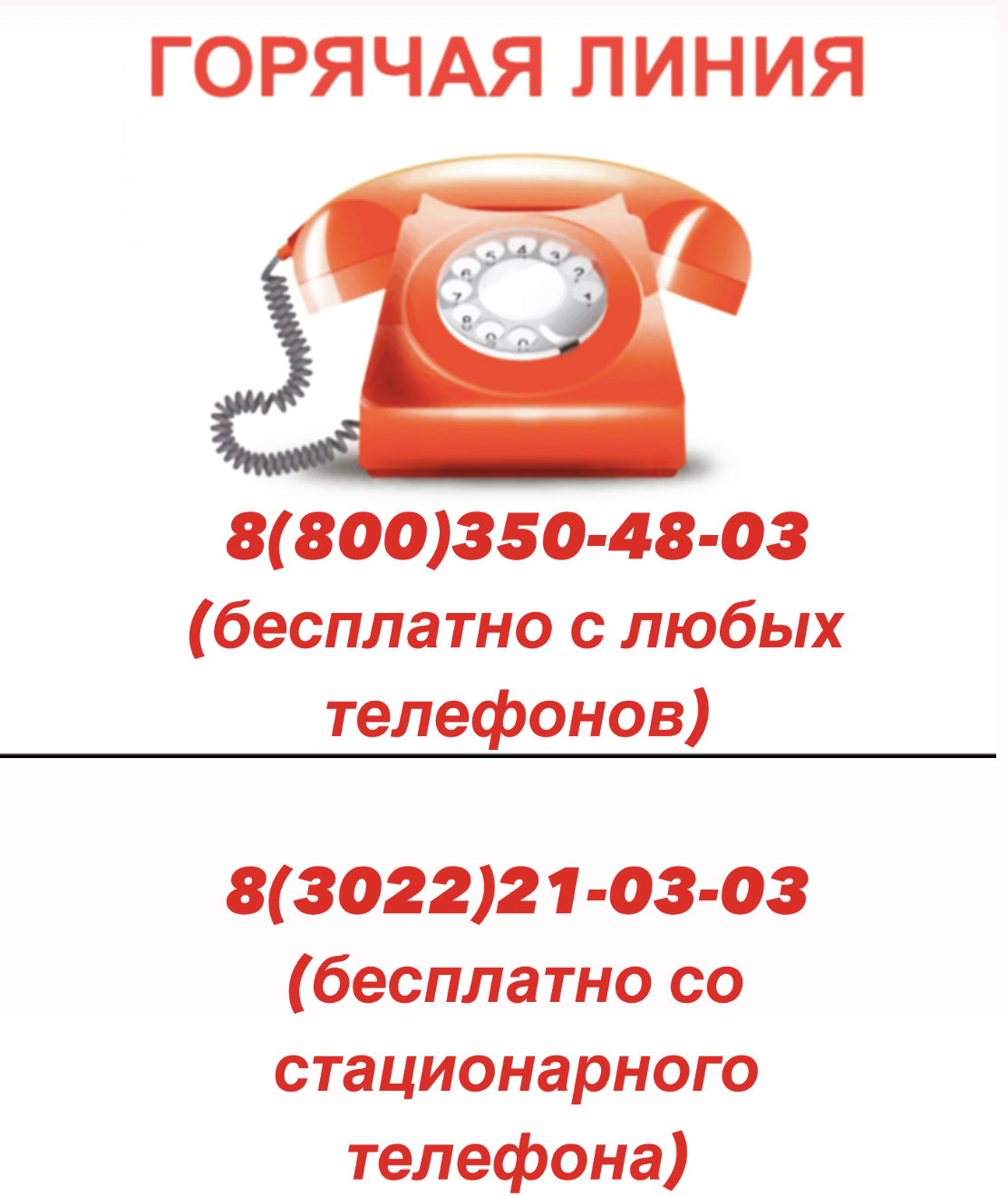Номер Горячей Линии Интернет Магазина